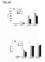 Fig. 46 - OSTEOCHONDRAL IMPLANTS, ARTHROPLASTY METHODS, DEVICES, AND SYSTEMS