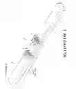 Fig. 02 - Articulated-raft/rotary-vane pump generator system