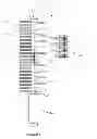 Fig. 02 - Cosmetic applicator assembly