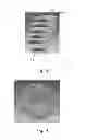 Fig. 03 - Direct drive segmented generator