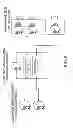 Fig. 10 - GATEWAY APPARATUS, METHOD THEREOF AND CHARGE/DISCHARGE SYSTEM