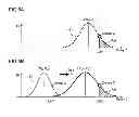 Fig. 06 - Test apparatus