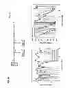 Fig. 20 - Power combiners and dividers based on composite right and left handed metamaterial structures
