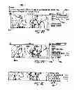 Fig. 09 - Generating visual information associated with traffic