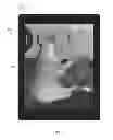 Fig. 06 - Movement based image transformation