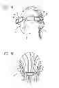 Fig. 02 - IMAGING DISPLAY APPARATUS AND METHOD
