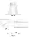 Fig. 04 - Bulk resistive glove
