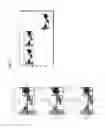 Fig. 08 - APPARATUS AND METHOD FOR CAPTURING MULTI-FOCUS IMAGE USING CONTINUOUS AUTO FOCUS