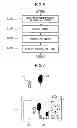 Fig. 06 - Imaging device