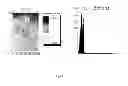 Fig. 09 - Multispectral imaging for quantitative contrast of functional and structural features of layers inside optically dense media such as tissue