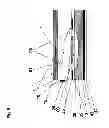 Fig. 06 - Radiation emitting element and a method of providing it