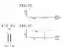 Fig. 06 - Apparatus and method for obtaining spectral image