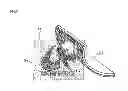 Fig. 03 - Retroreflective member producing iridescent reflected light