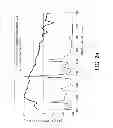 Fig. 25 - Anti-reflection sheet with a resin layer including a plurality of fine projections, display element and display device including the sheet