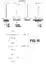 Fig. 17 - Imaging lens and imaging apparatus