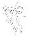 Fig. 01 - Housing for electronic device and manufacturing method thereof