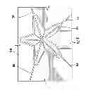 Fig. 08 - LIGHT SURROUND WITH PLANT MATERIAL ALTERED LIGHT EMISSION