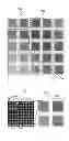Fig. 01 - Method of writing to an optical data storage medium, method of reading from an optical data storage medium, and optical data storage medium