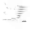 Fig. 09 - Method of writing to an optical data storage medium, method of reading from an optical data storage medium, and optical data storage medium