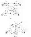 Fig. 02 - Scalable media access control for multi-hop high bandwidth communications