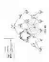 Fig. 06 - Dynamic multi-path forwarding for shared-media communication networks