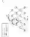 Fig. 07 - Dynamic multi-path forwarding for shared-media communication networks