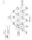 Fig. 09 - Dynamic multi-path forwarding for shared-media communication networks