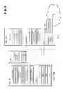 Fig. 03 - IP aggregation for LTE-based mobile networks