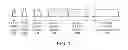 Fig. 02 - Hybrid automatic repeat request (HARQ) mapping for carrier aggregation (CA)