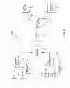 Fig. 06 - WIRELESS INTERNET ACCESS WITH ENHANCED BANDWIDTH CAPABILITIES