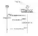 Fig. 08 - Base station device, mobile station device, program, uplink synchronization requesting method, and synchronization-shift measurement signal transmitting method