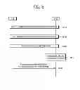 Fig. 09 - APPARATUS AND METHOD FOR PERFORMING RANDOM ACCESS IN WIRELESS COMMUNICATION SYSTEM