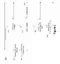 Fig. 07 - Intercell interference mitigation