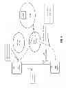 Fig. 05 - Discovery and operation of hybrid wireless wide area and wireless local area networks