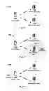 Fig. 09 - Transmitting and receiving data based on multipath