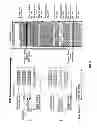 Fig. 09 - Channel service manager