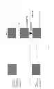 Fig. 18 - PICTURE PROCESSING IN SCALABLE VIDEO SYSTEMS