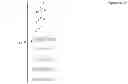 Fig. 17 - Method for WiFi beamforming, feedback, and sounding (WiBEAM)