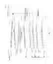 Fig. 35 - Method for WiFi beamforming, feedback, and sounding (WiBEAM)