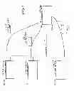 Fig. 02 - Dynamic/adaptive treatment planning for radiation therapy