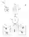 Fig. 02 - Number normalization and display