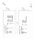 Fig. 06 - Number normalization and display