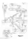 Fig. 07 - Secure escrow service