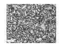 Fig. 01 - Automatic classification of the degree of maturation for iron ore pellets