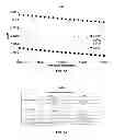Fig. 40 - Step-index few-mode fiber designs for spatial multiplexing