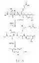 Fig. 02 - Method for preparing largazole analogs and uses thereof