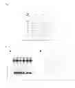 Fig. 07 - Pretargeting kit for imaging or therapy comprising a trans-cyclooctene dienophile and a diene