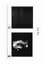 Fig. 06 - Magnetic resonance imaging cell labeling methods and compositions
