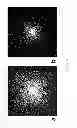 Fig. 08 - Magnetic resonance imaging cell labeling methods and compositions