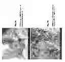Fig. 08 - Amphiphilic linear peptidepeptoid and hydrogel comprising the same